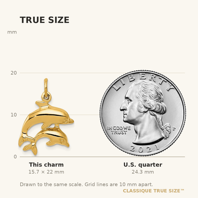 14K Dolphin Charm, 22 x 17mm