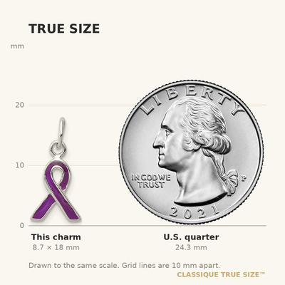 Sterling Silver Purple Enameled Awareness Charm