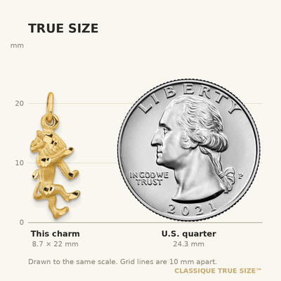 14K Satin Diamond-cut Leo Zodiac Charm, 22 x 8mm