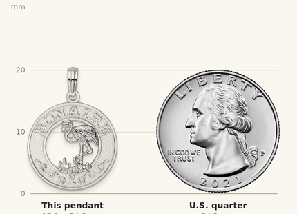 Classique True Size: De-Ani Sterling Silver Rhodium-Plated Polished Bonaire Circle Flamingo Pendant shown next to a US quarter (24.3 mm)