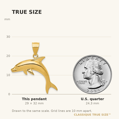 14K Dolphin Pendant, 32 x 30mm