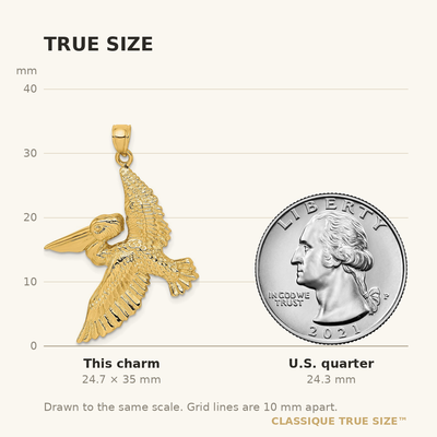 14K Flying Pelican Charm, 35 x 32mm