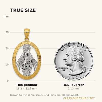 14K w/Rhodium Polished Miraculous Medal Pendant