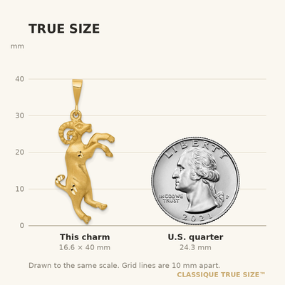 14K Satin Diamond-cut Aries Zodiac Charm, 40 x 16mm