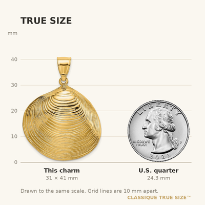 14K Textured Clam Shell Charm, 41 x 29.7mm