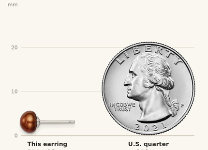 Classique True Size: Sterling Silver Rhodium-plated 6- Brown Button Freshwater Cultured Pearl Post Earring shown next to a US quarter (24.3 mm)