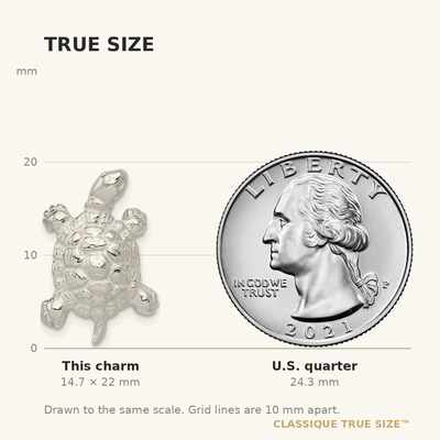 Sterling Silver Turtle Charm, 22 x 14mm
