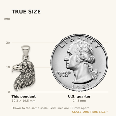 Sterling Silver Antiqued Polished Textured Eagle Head Pendant