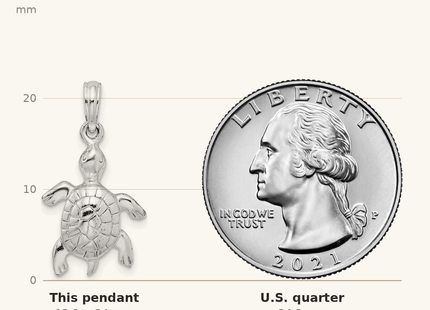 Classique True Size: De-Ani Sterling Silver Rhodium-Plated Polished and Textured Turtle Pendant shown next to a US quarter (24.3 mm)