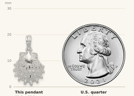 True size: De-Ani Sterling Silver Rhodium-Plated Polished Lions Paw Shell Pendant shown next to a US quarter (24.3 mm)