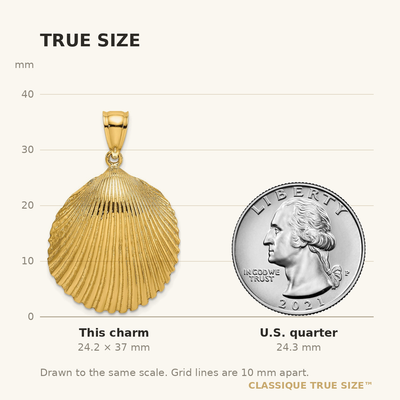 14K Textured Scallop Shell Charm, 37 x 23.05mm