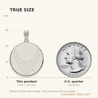 Sterling Silver Rhodium-plated LogoArt U.S. Air Force Extra Large Disc Pendant