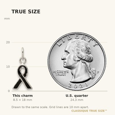 Sterling Silver Black Enameled Awareness Charm
