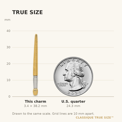 14K w/Rhodium 3-D Oil Paint Brush Charm