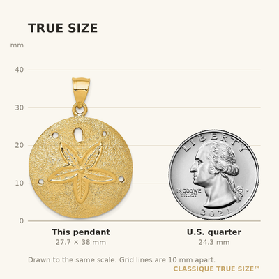 14K Solid Polished Laser-Cut Sand Dollar Pendant, 38 x 29mm