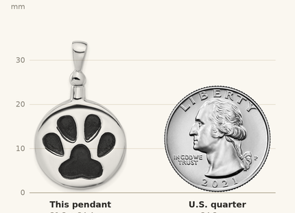 Classique True Size: Sterling Silver Rh-plated Enamel Round Paw Print Ash Holder Pendant shown next to a US quarter (24.3 mm)