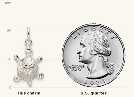 Classique True Size: Sterling Silver Polished Turtle Charm shown next to a US quarter (24.3 mm)