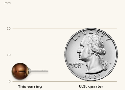 Classique True Size: Sterling Silver Rhodium-plated 8- Brown Round Freshwater Cultured Pearl Post Earring shown next to a US quarter (24.3 mm)