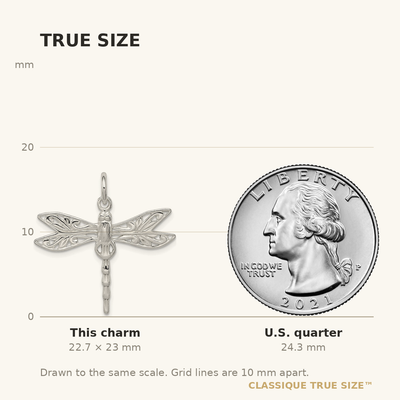Sterling Silver Dragonfly Charm, 23 x 30mm