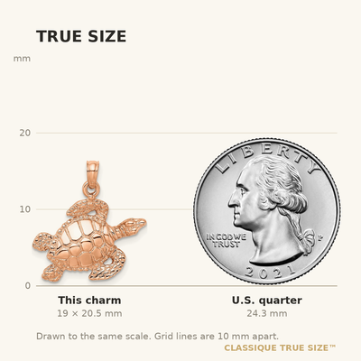 14K Rose Gold Textured Sea Turtle Charm, 20.5 x 19.8mm