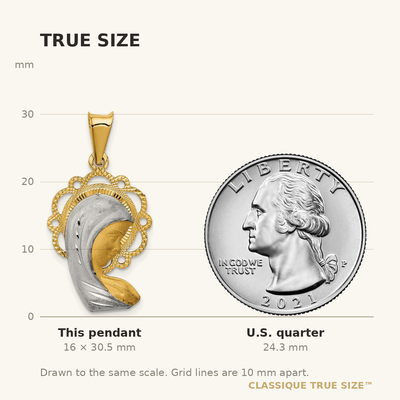 14K w/Rhodium Satin And Polished Mary Pendant