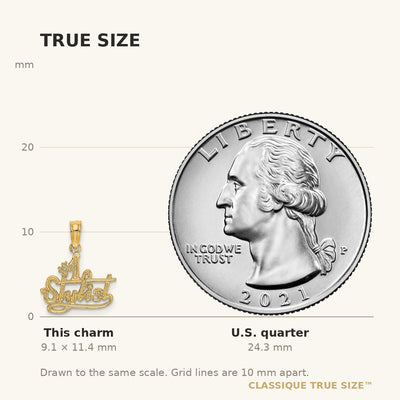 14K #1 STYLIST Charm