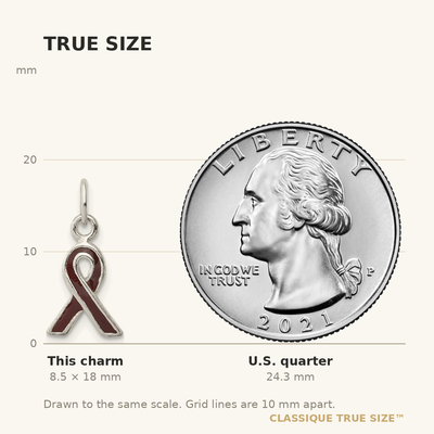 Sterling Silver Brown Enameled Awareness Charm