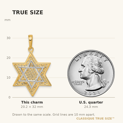 14K w/Rhodium Solid Mesh Star Of David Charm
