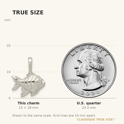 Sterling Silver Fish Charm, 18 x 16mm