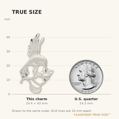 Sterling Silver Hummingbird Charm, 43 x 23mm