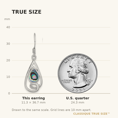 Sterling Silver RH-plated Polished Abalone Swirl Teardrop Dangle Earrings