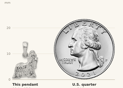 Classique True Size: De-Ani Sterling Silver Rhodium-Plated Textured 3D Shih Tzu Dog Pendant shown next to a US quarter (24.3 mm)