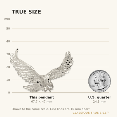 Sterling Silver Eagle Pendant, 47 x 65mm
