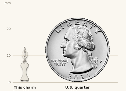 Classique True Size: Sterling Silver Polished Dog Bone Charm shown next to a US quarter (24.3 mm)