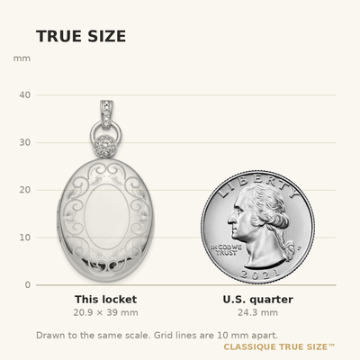 Sterling Silver Rhodium-plated Oval Diamond Accent Satin Locket