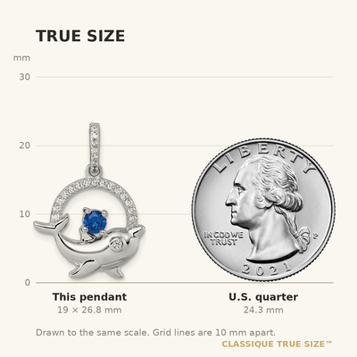 Sterling Silver Rhodium-plated Round Blue and White CZ Dolphin in Circle Pendant
