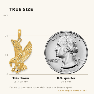 14K Eagle Charm, 25 x 16mm