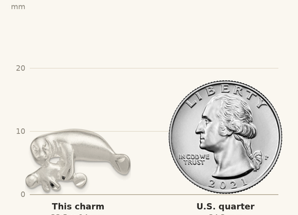 Classique True Size: Sterling Silver Manatee with Baby Charm shown next to a US quarter (24.3 mm)