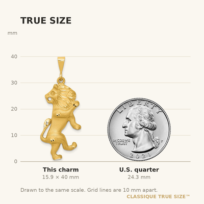 14K Satin Diamond-cut Leo Zodiac Charm, 40 x 16mm