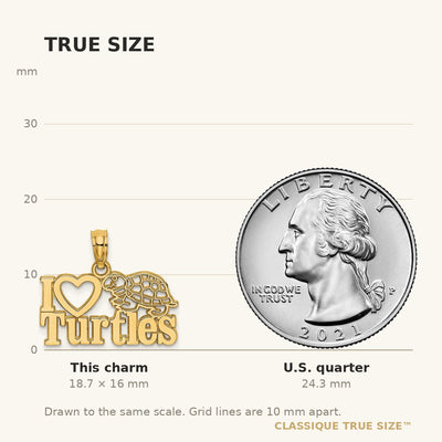 14K I HEART TURTLES Charm