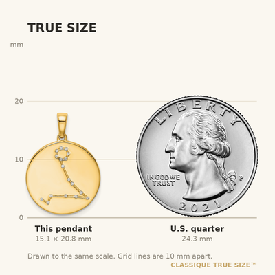 Sterling Silver Gold-plated & CZ Pisces Zodiac Pendant