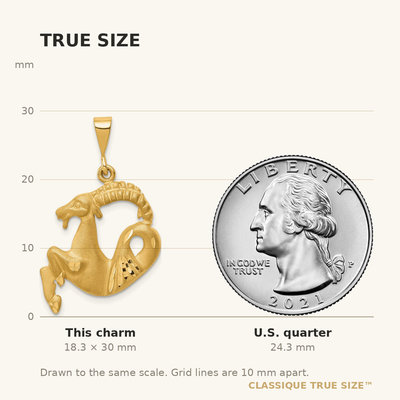 14K Satin Diamond-cut Capricorn Zodiac Charm, 30 x 20mm