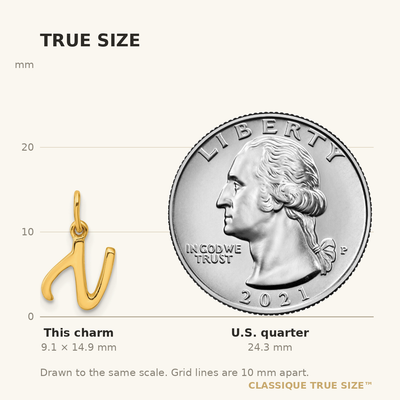 Sterling Silver Gold-tone Polished Letter N Initial Charm