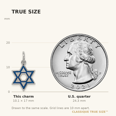 Sterling Silver Rhodium-plated Enameled Blue Star of David Charm