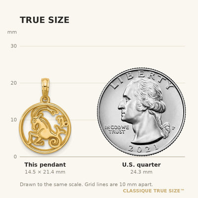14K Polished Round Capricorn Pendant