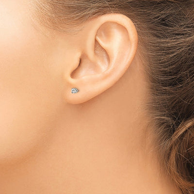 Inverness Stainless Steel Polished CZ Post Earrings