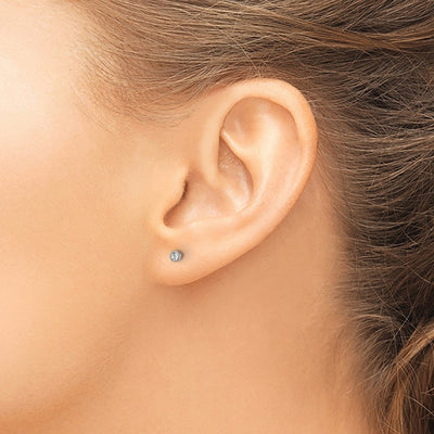 Inverness Titanium Crystal Post Earrings