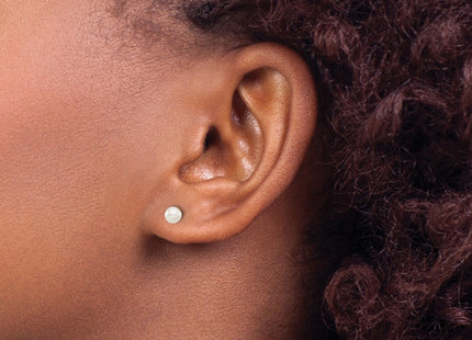 Titanium Earrings Style 556E - Classique Jewelry Inc.