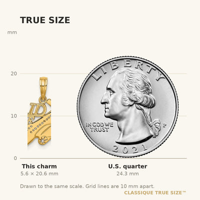 14K I'D RATHER BE FLYING Charm