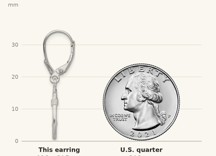 Classique True Size: De-Ani Sterling Silver Rhodium-Plated Polished 3D Fish Hook Leverback Earrings shown next to a US quarter (24.3 mm)
